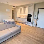 Rent 2 bedroom apartment of 70 m² in San Donato Milanese