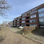 Rent 2 bedroom apartment of 106 m² in Heerlen