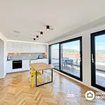 Rent 5 bedroom apartment of 92 m² in Brno