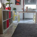 Rent 3 bedroom apartment of 120 m² in Rome