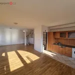 Rent 3 bedroom apartment of 100 m² in Brno - Kohoutovice