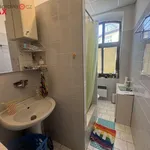 Rent 3 bedroom apartment of 90 m² in Rožnov pod Radhoštěm