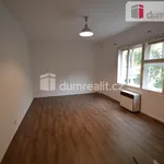 Rent 1 bedroom apartment of 40 m² in Capital City of Prague