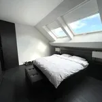 Rent 3 bedroom apartment in Bruxelles