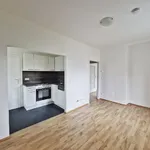 Rent 3 bedroom apartment of 62 m² in Vienna