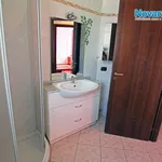 Rent 3 bedroom apartment of 49 m² in Novara