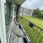 Rent 4 bedroom apartment of 79 m² in Rotterdam