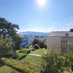 Rent 3 bedroom apartment in Zurich