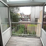 Rent 2 bedroom house of 75 m² in Binnenstad-Oost