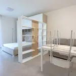 Rent 1 bedroom apartment of 36 m² in Vicenza