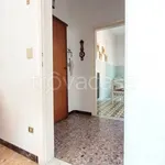 Rent 5 bedroom apartment of 100 m² in Livorno