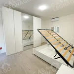 Rent 1 bedroom apartment of 70 m² in Cerea