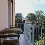 Rent 4 bedroom apartment of 90 m² in Bologna