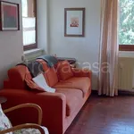 Rent 3 bedroom apartment of 55 m² in Ponte di Legno