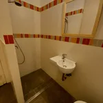 Rent 1 bedroom apartment of 80 m² in Budapest