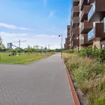 Rent 2 bedroom apartment of 49 m² in Aalborg