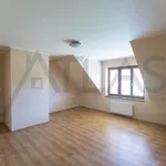 Rent 5 bedroom house in Prague