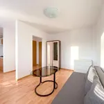 Rent 1 bedroom apartment of 24 m² in Rzeszów