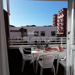 Rent 1 bedroom apartment in Follonica