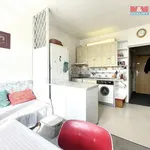 Rent 1 bedroom apartment of 36 m² in Pilsen