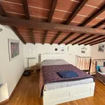 Rent 1 bedroom apartment of 50 m² in Pisa