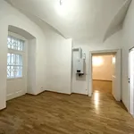 Rent 3 bedroom apartment of 132 m² in Wien