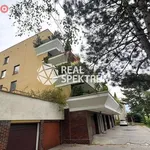 Rent 4 bedroom apartment of 90 m² in Trhový Štěpánov