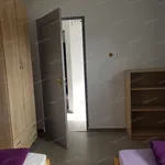 Rent 1 bedroom house of 48 m² in Kecskemét