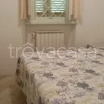 Affitto 4 camera casa di 65 m² in Forte dei Marmi