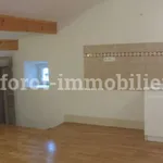 Appartement de 41 m² avec 1 chambre(s) en location à Vernoux-en-Vivarais