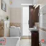 Rent 2 bedroom apartment in Hradec Králové