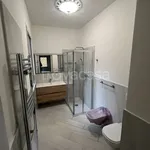 Rent 2 bedroom apartment of 55 m² in Legnano