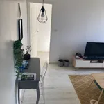 Appartement de 42 m² avec 2 chambre(s) en location à Mende