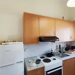 Ενοικίαση 1 υπνοδωμάτια διαμέρισμα από 48 m² σε Municipal Unit of Viniani