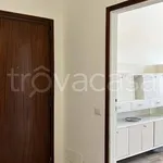 Rent 3 bedroom apartment of 90 m² in Milano