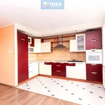 Rent 2 bedroom apartment of 44 m² in Olsztyn