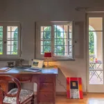 Rent 7 bedroom apartment of 250 m² in Lucca