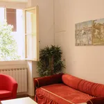 Rent 1 bedroom apartment in Florence