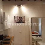 Rent 1 bedroom apartment of 33 m² in Turin