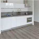 Rent 1 bedroom house of 65 m² in Eindhoven