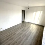  appartement avec 1 chambre(s) en location à Ellezelles