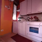 Rent 1 bedroom apartment of 35 m² in San Giuliano Milanese