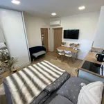 Rent 1 bedroom apartment in Zlín