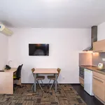 Rent 1 bedroom apartment of 33 m² in Brno