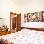 Rent 2 bedroom apartment of 60 m² in pisa