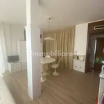 Rent 1 bedroom apartment of 50 m² in Venice