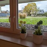 Rent 2 bedroom apartment of 58 m² in Koblenz