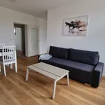 Rent 3 bedroom apartment of 60 m² in Leipzig