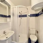 Rent 1 bedroom apartment in Brno