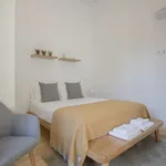 Rent 1 bedroom apartment of 50 m² in Porto